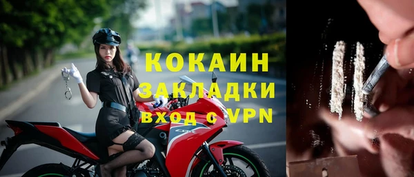 винт Алексин