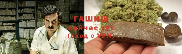 дмт Алзамай
