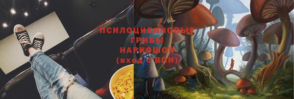 дмт Алзамай