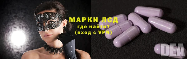 дмт Алзамай
