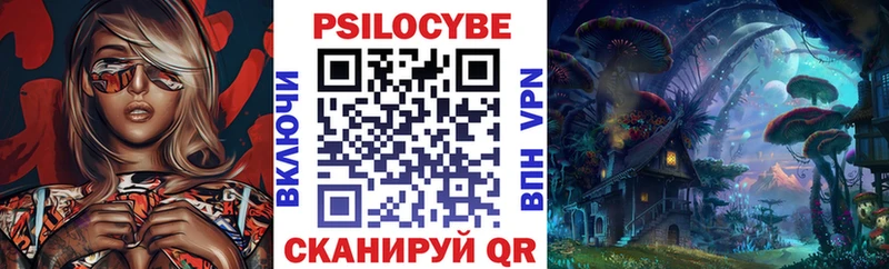 даркнет сайт  Чебоксары  Галлюциногенные грибы Magic Shrooms 